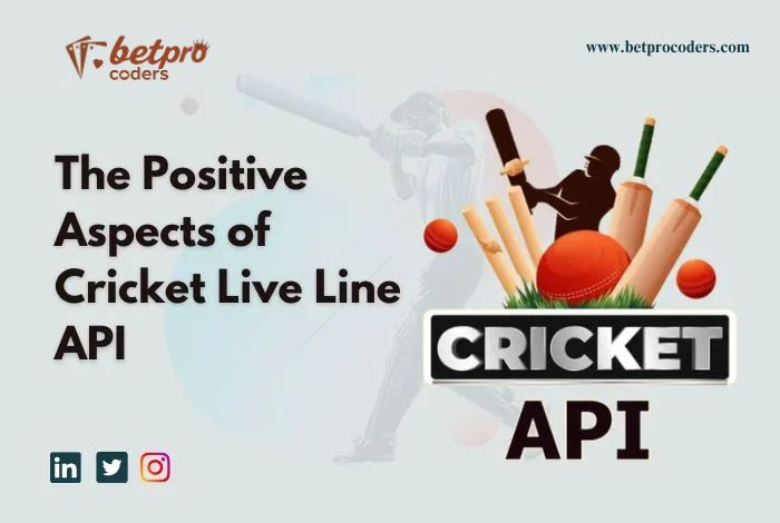 The Positive Aspects of Cricket Live Line&nbsp;API