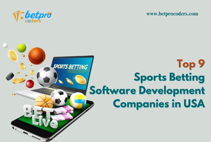 Top 9 Sports Betting Software Development Companies in&nbsp;USA