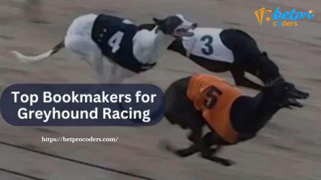 Choosing the Top App for Greyhound&nbsp;Racing